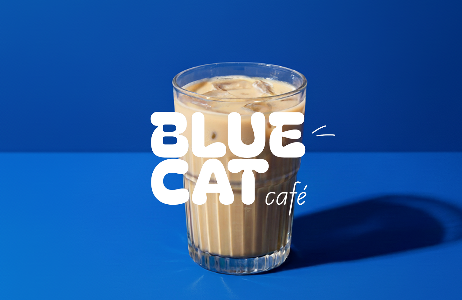 Blue Cat Cafe brand and web design case study