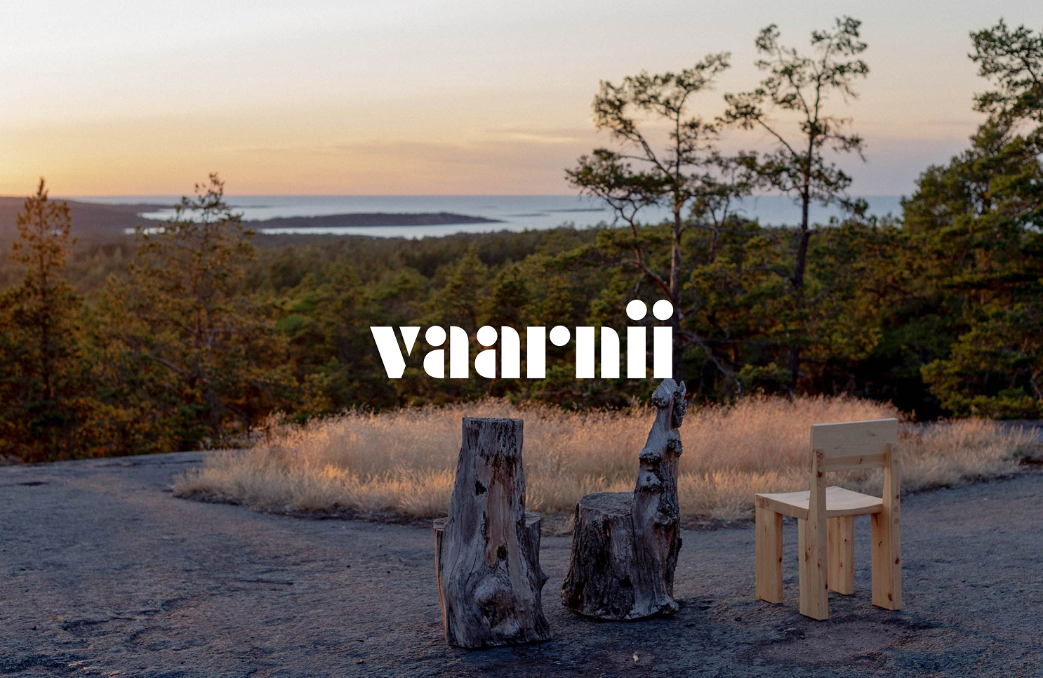 Vaarnii brand and web design case study